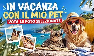 &laquo;In vacanza con il mio pet&raquo;, vota la tua foto preferita tra le 25 selezionate
